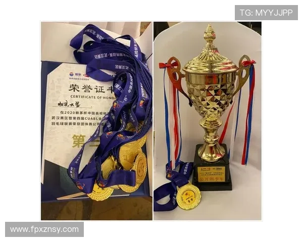 深圳羽毛球队与成都羽毛球队赛后复盘分析个人能力对比与表现总结