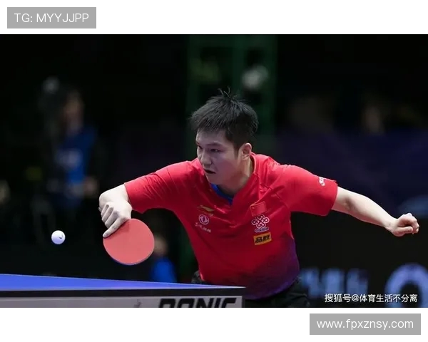 赵娜独家分享乒乓球技巧与心得助你提升球技的秘密武器